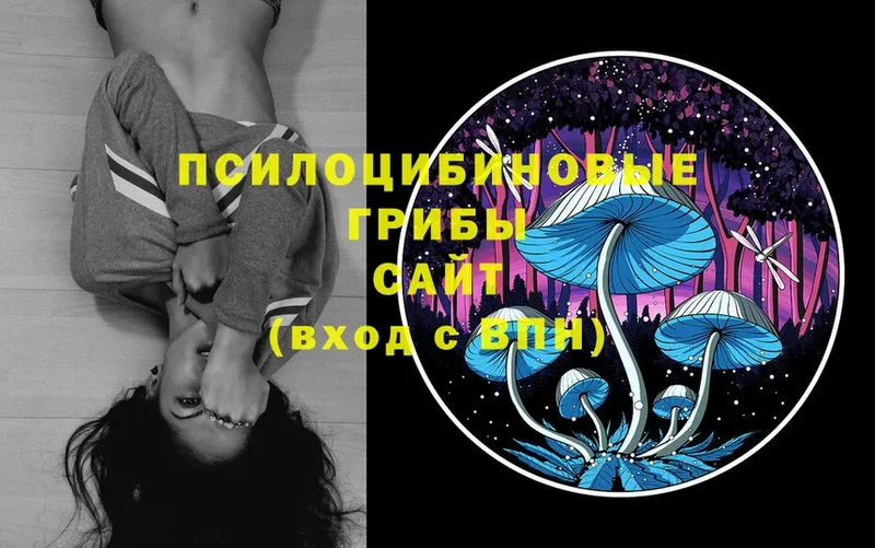 Галлюциногенные грибы MAGIC MUSHROOMS  Калачинск 